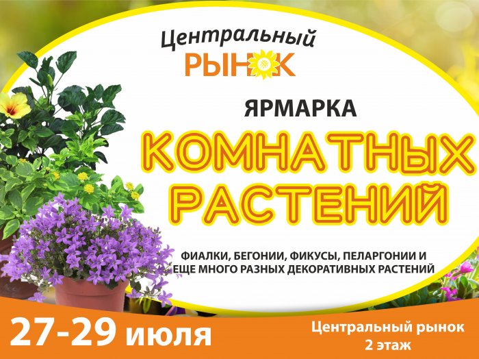 Выставка-продажа комнатных растений