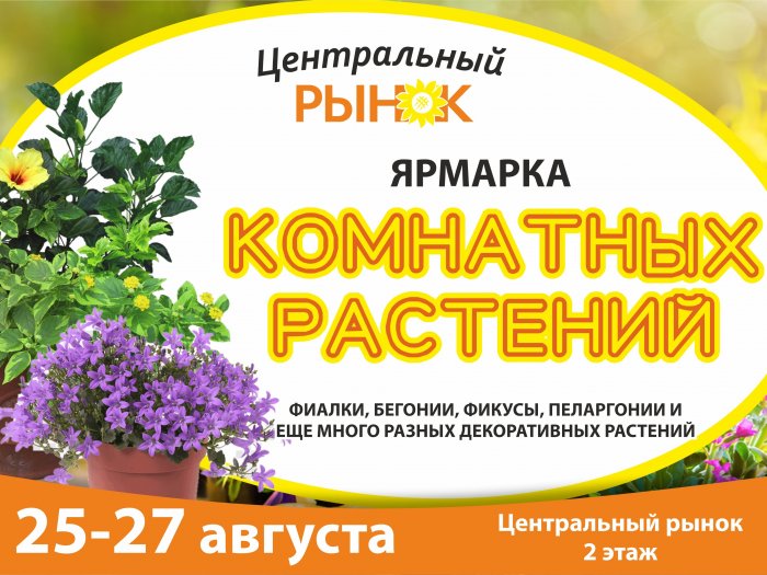 Ярмарка комнатных растений