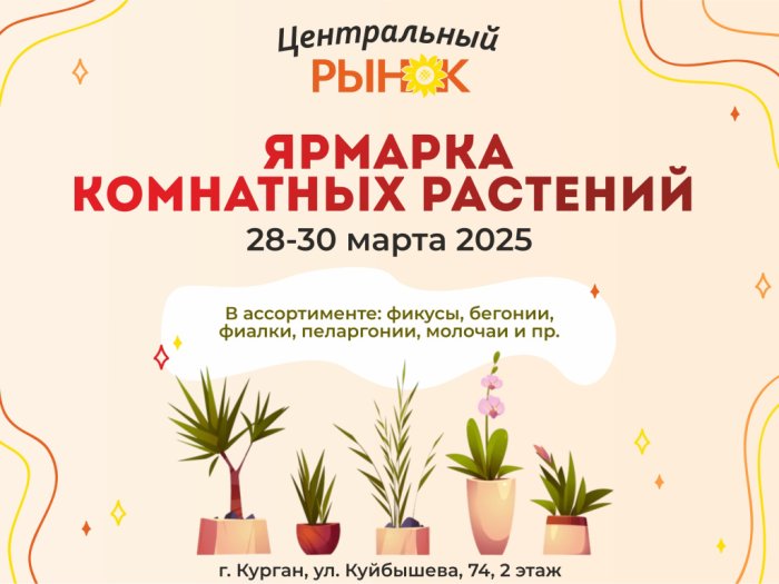 Ярмарка комнатных растений - 2025