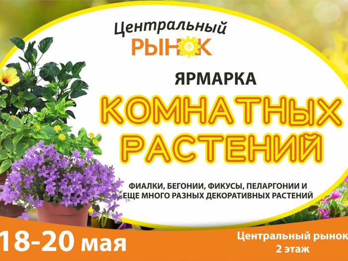 Ярмарка комнатных растений