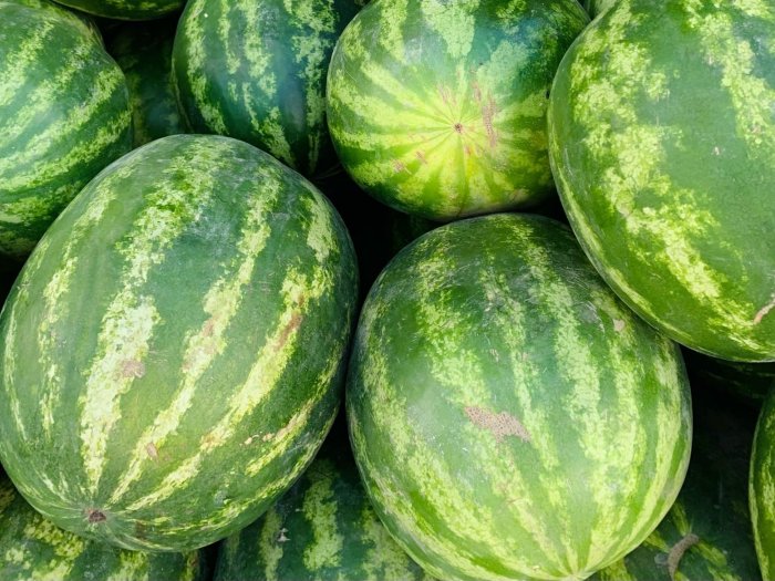 3 августа в разных странах мира отмечают вкусный праздник — День арбуза. 