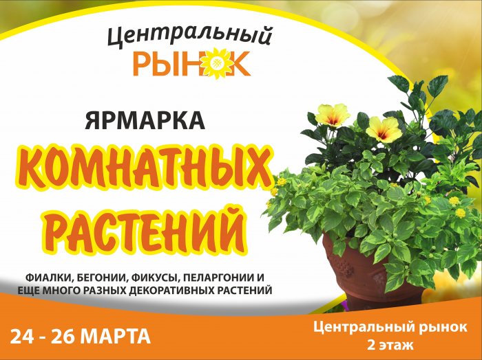 Новый сезон Ярмарок комнатных цветов